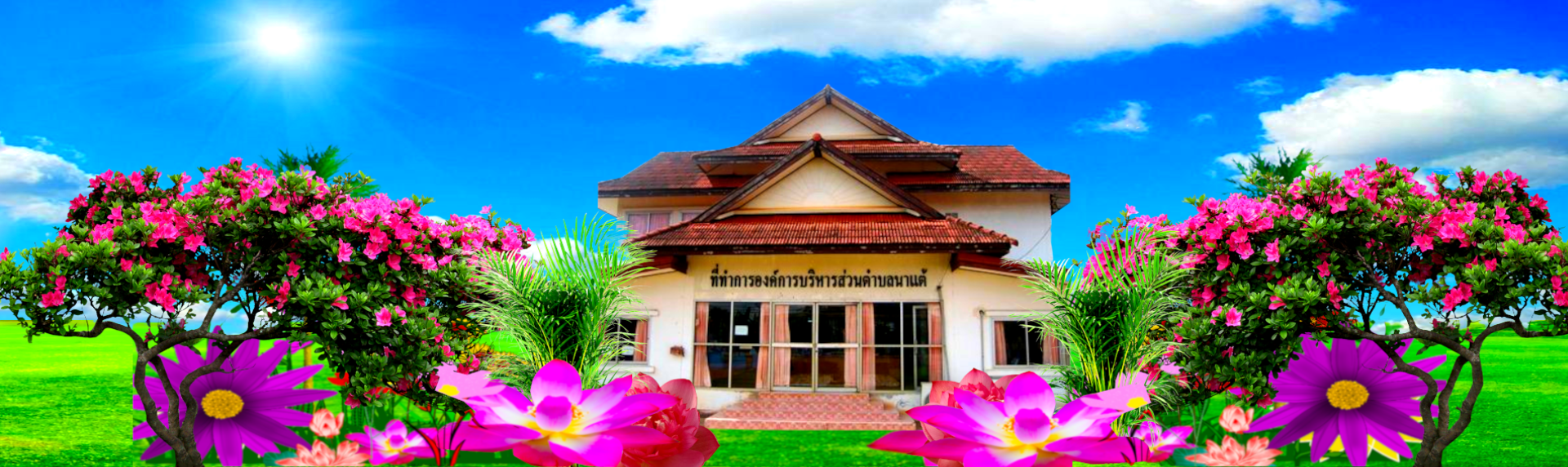 พื้นหลัง