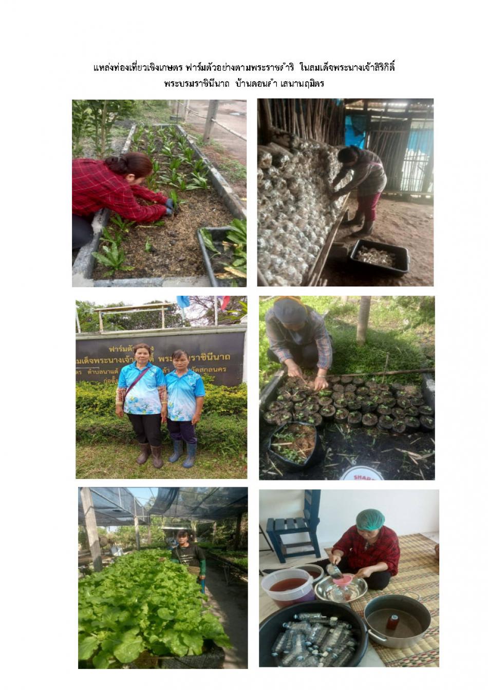 แหล่งท่องเที่ยวเชิงเกษตร ฟาร์มตัวอย่างตามพระราชดำริ  ในสมเด็จพระนางเจ้าสิริกิติ์  พระบรมราชินีนาถ  บ้านดอนคำ เสนานฤมิตร  ตำบลนาแต้